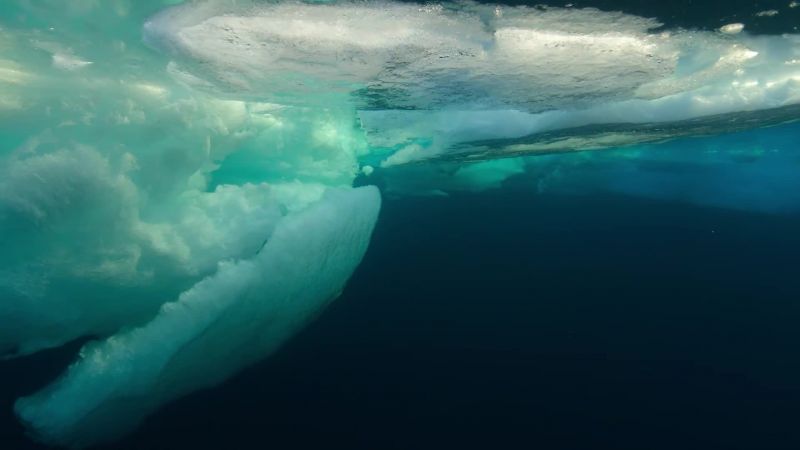 Sea ice is not just crucial
