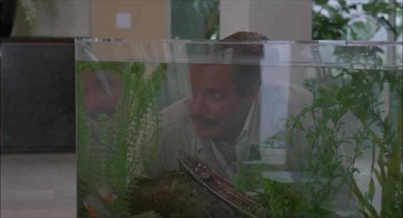 SEA MONKEYS?