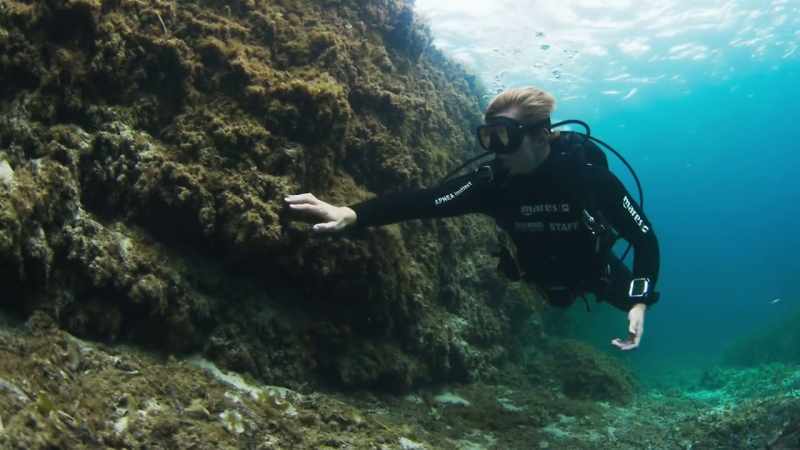 Seagrass, however, is easily destroyed by human disturbance