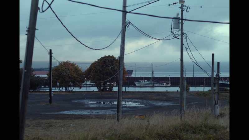 (seagulls calling)