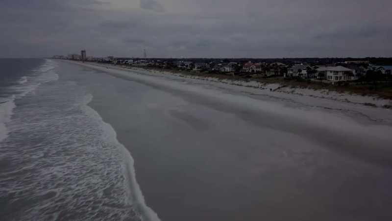 �� - [seagulls cawing]