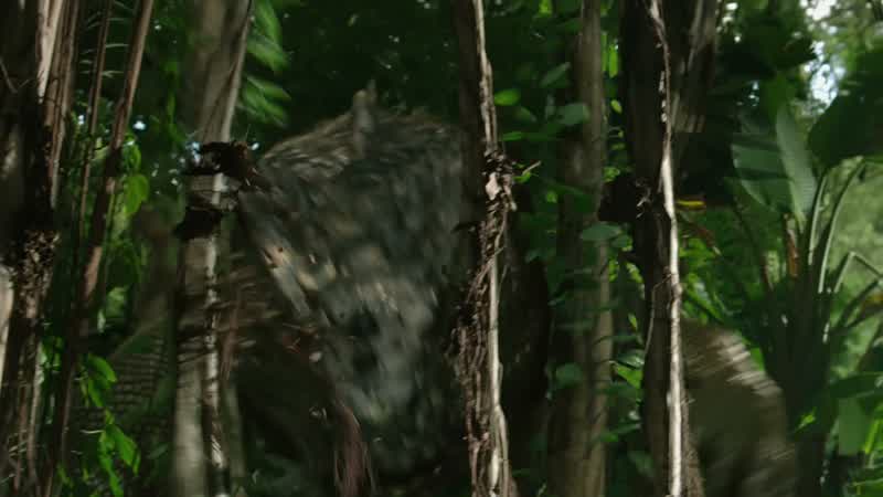 Hey GodzillaOh crap