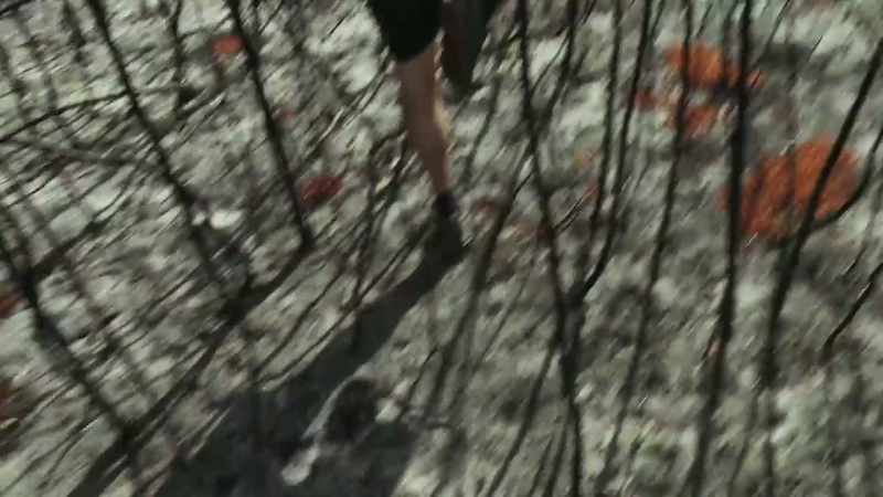 Searching in the ash is a grubby business