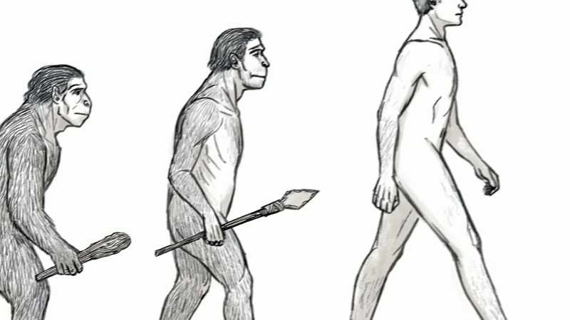 Second was Darwin’s finding that we’re not particularly different