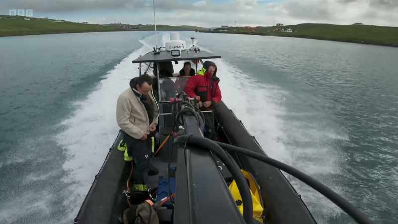 Second-hand information, but some orca were seen