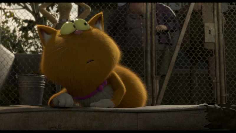See a cute cat that. Sorry, it's not available for adoption