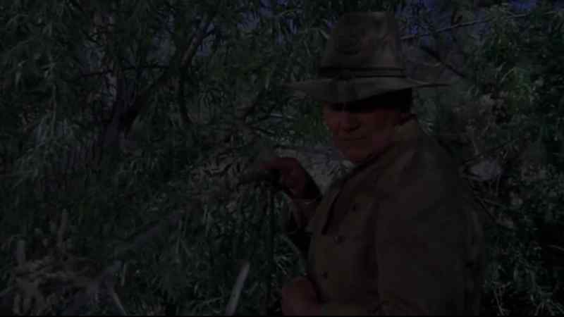See anything, Colonel?