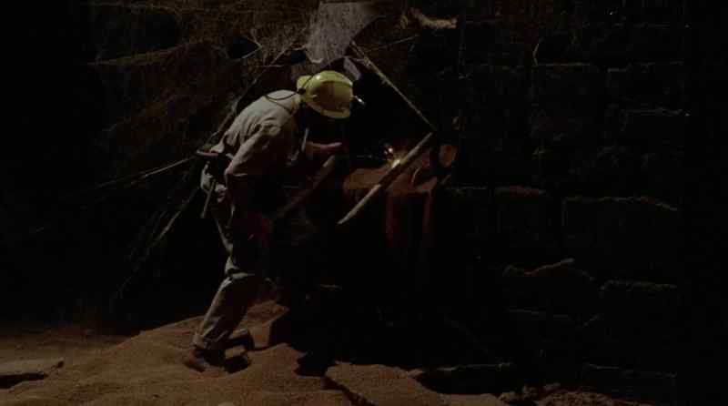 See it?