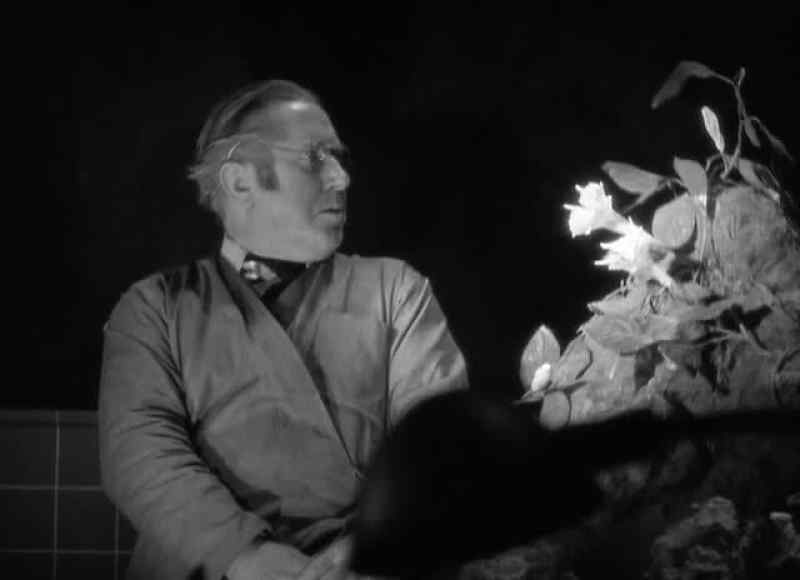 See, man. See that moon vine