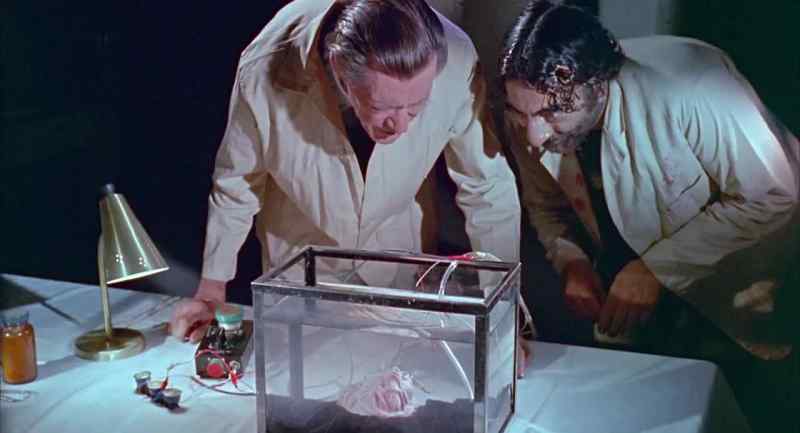 See, we must utilize the solar energy storage cell
