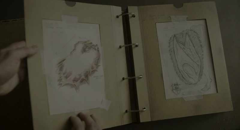 See, right from the beginning