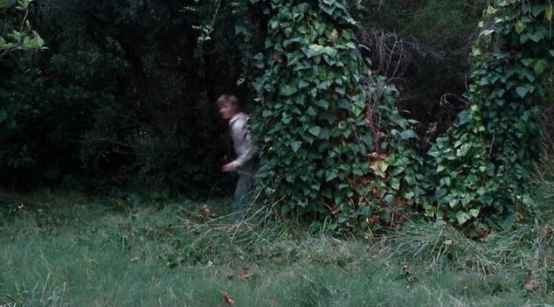 See the way that coon acted? -Ran right off into the woods