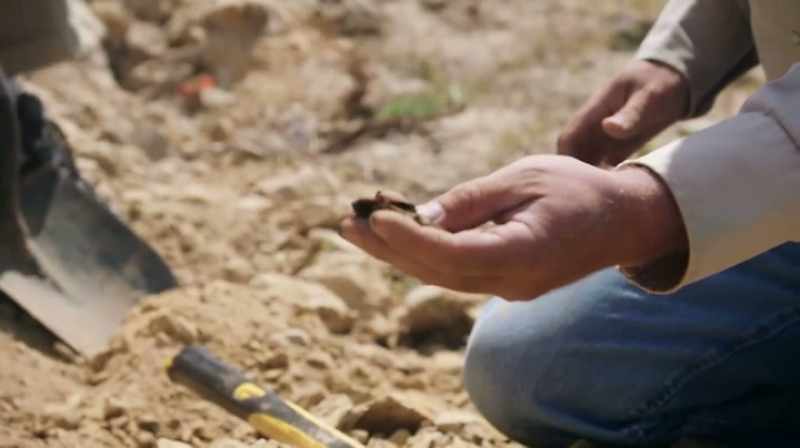 SEE THIS? THAT'S ANCIENT PLANT MATERIAL. IT'S CARBON NOW