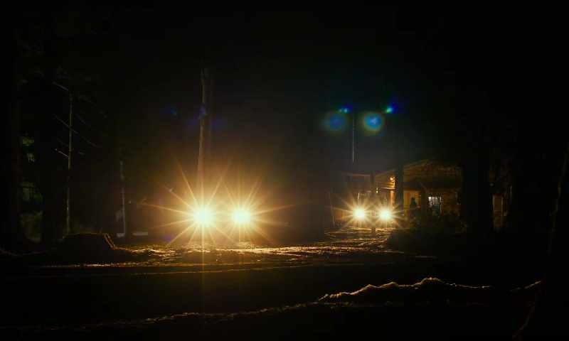 See you. - Good night