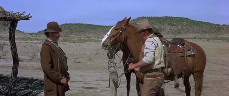 See'd your dust all day What you drivin' Buffalo