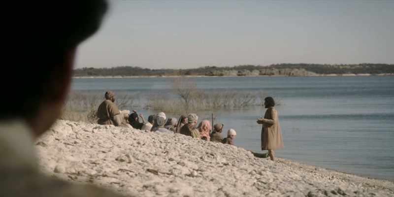 Seeds that fall on a path, which is trod by people