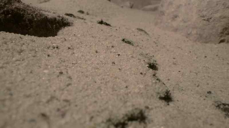 Seeds that have been lying dormant burst into life