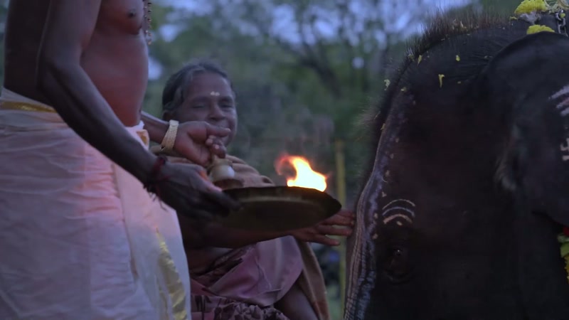 Seeing an elephant, to us, is equivalent to seeing God