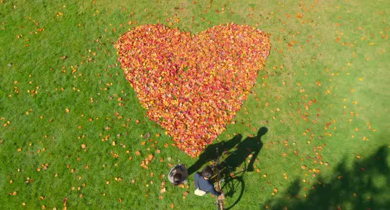 선물이에요 하트예요 - 선물은 하트… - 최악이네
