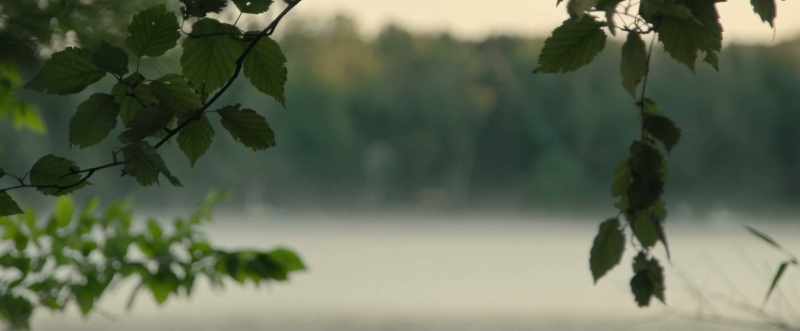 [serene music]