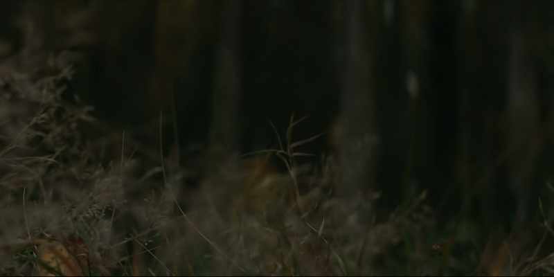 [serene music]