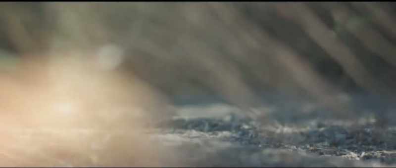 (serene music) (waves crashing)