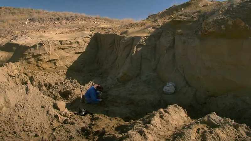 SET IT IN THE BOX AND KEEP DIGGING