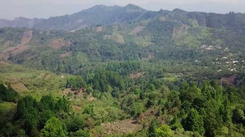 Shade-grown at high altitudes, this organic coffee