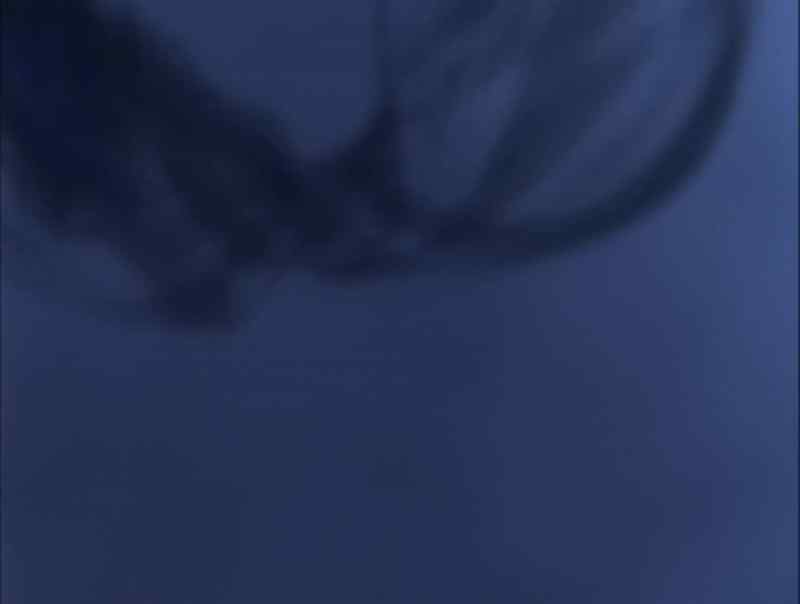 Shadow, take my body