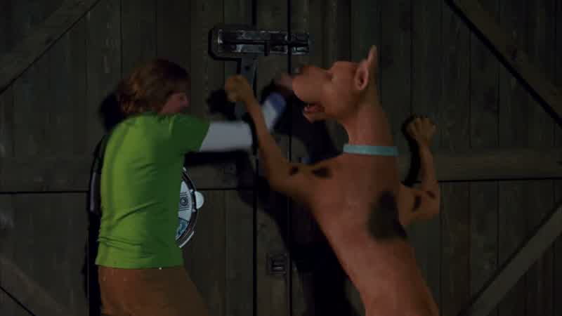 Shaggy: I think we lost them