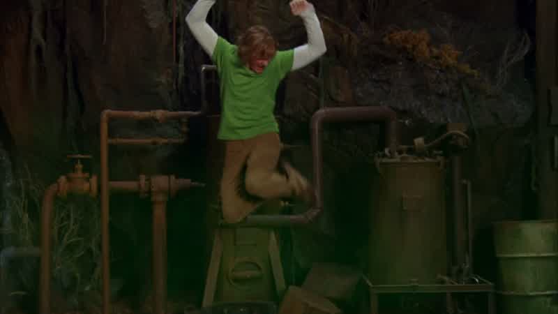 Shaggy: You did it!