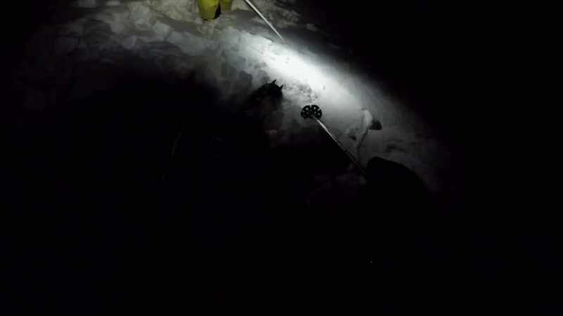 Shall we go down?