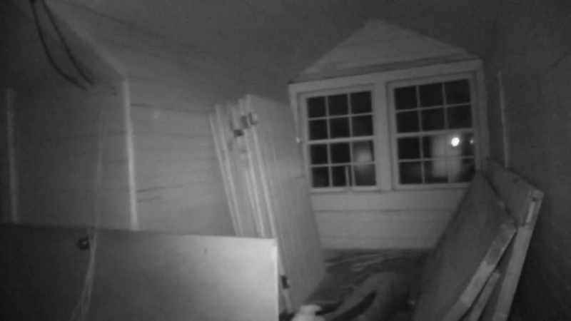 Shane, why don't we start you off in the basement?