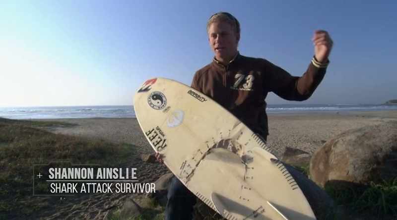 SHANNON AINSLIE: One shark on the left hand side