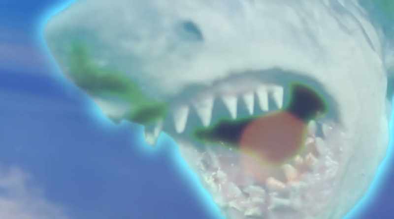 (shark growls)