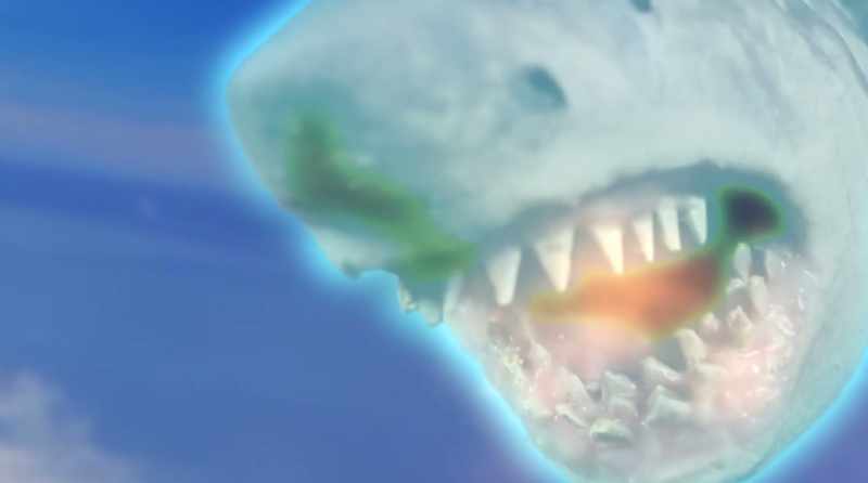 (shark growls)