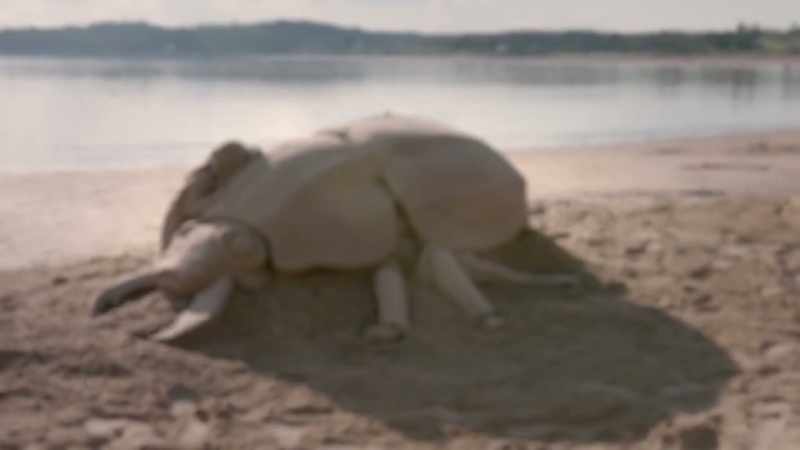 [shaun] wow, dan and jobi. That is a huge beetle