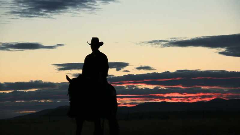 SHAWN: Rodeo, cowboy's life