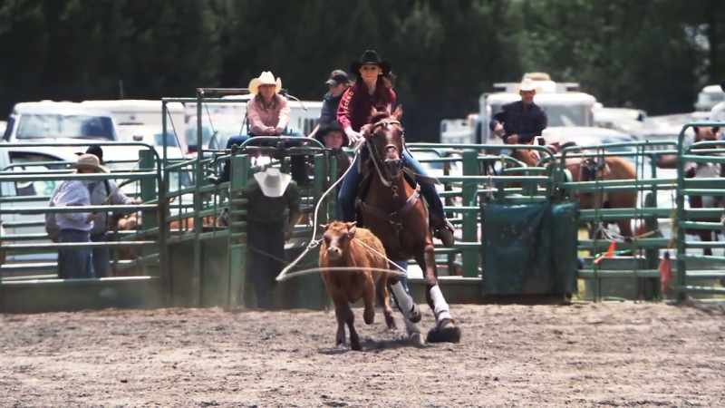 SHAWN: Training horses, bronc riding, shoeing horses