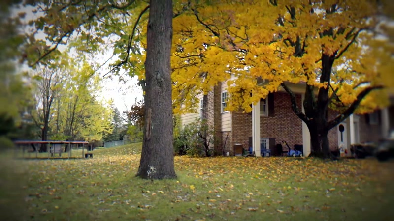 She could not wait to be married, for her dream house