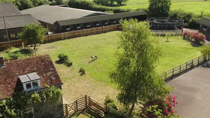 She goes to check the grass in Merlin's field