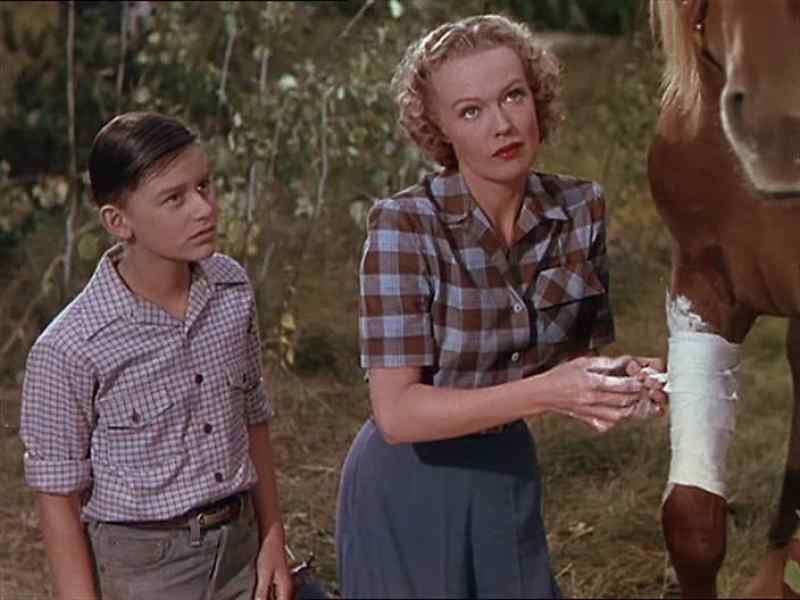 She has got sense, hasn´t she, Mom?