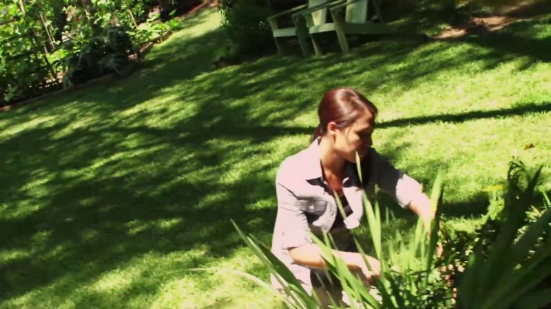 She was in the yard gardening