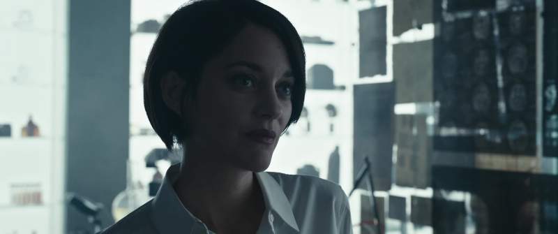 She was killed by an Assassin