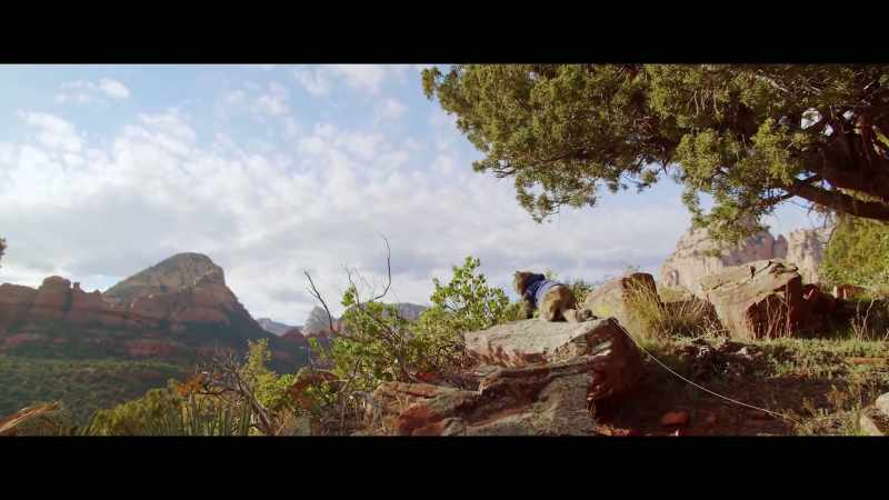 She likes to walk on trails a little bit