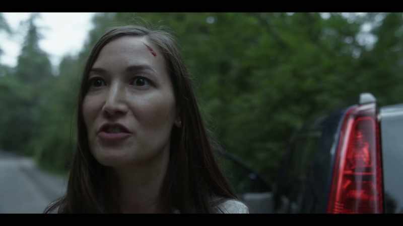 She made a phone call. GPS, voice recognition