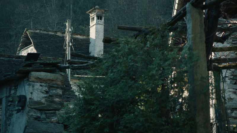 She often mentoned that she couldn't stand the Swiss winters