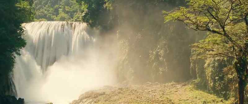 She saved my life