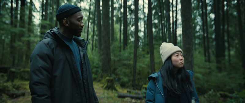 She seemed happy, your daughter. They both did