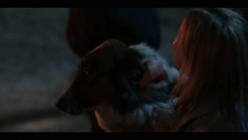 She was supposed to be put down, and then he came along